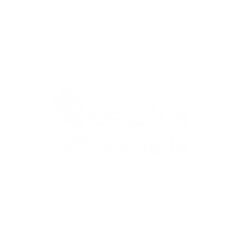 ESTATUS-FLORISTERÍA-propade-fundacion-cliente