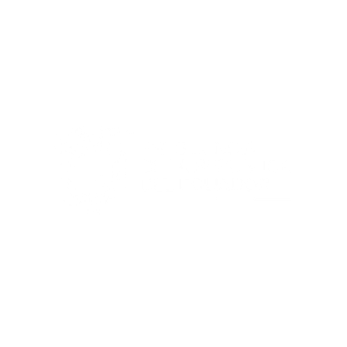 PRESIDENCIA-DE-LA-REPÚBLICA-DEL-ECUADOR-propade-fundacion-cliente