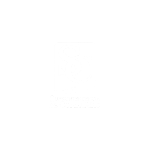 SUPERINTENDENCIA-DE-COMPAÑÍAS-propade-fundacion-cliente