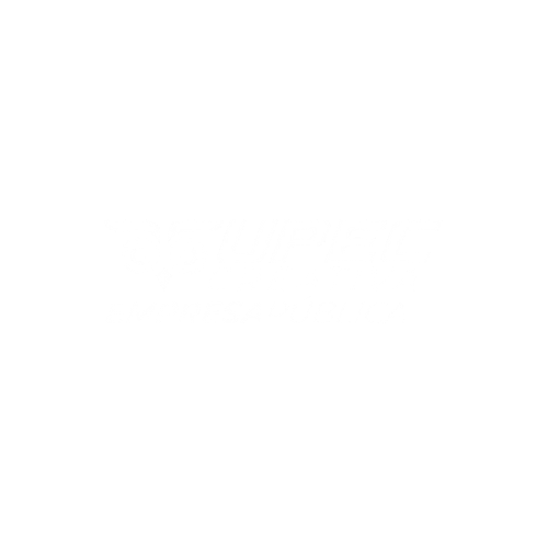 UPEC-CREATIVA-EMPRESA-PÚBLICA-UNIVERSIDAD-POLITÉCNICA-ESTATAL-DEL-CARCHI-(UPEC)-EN-ECUADOR-propade-fundacion-cliente